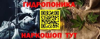 крисы Апшеронск
