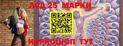 крисы Апшеронск