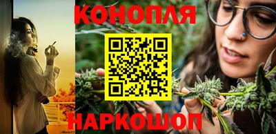 крисы Апшеронск